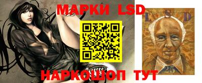 шишки Усть-Джегута