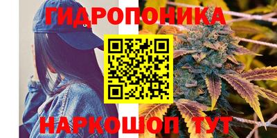 крисы Усть-Илимск