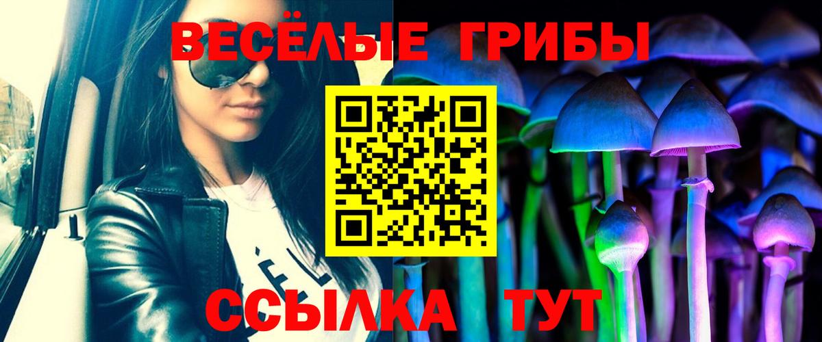 Менделеевск  Псилоцибиновые грибы GOLDEN TEACHER  Галлюциногенные грибы Cubensis  Вход с VPN 